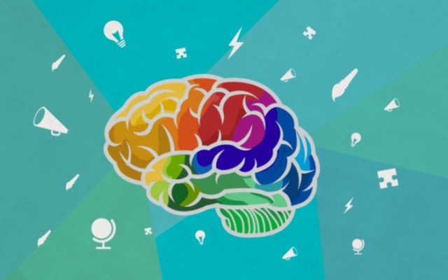 Daily quiz - Brain maintenance quiz: a great way to learn new things