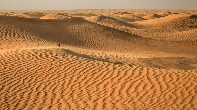 What is the world's largest desert?