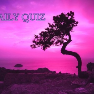 daily quiz