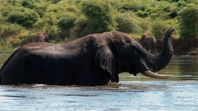 Which river forms the border between Zimbabwe and Zambia?