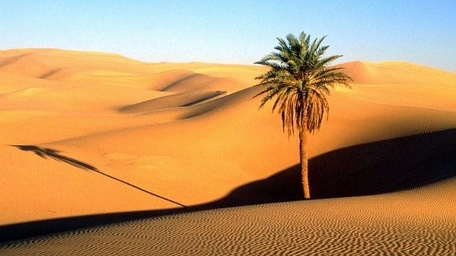 Which of these is the largest desert in the world?