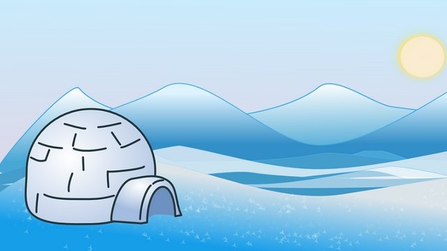 What is an igloo used for?