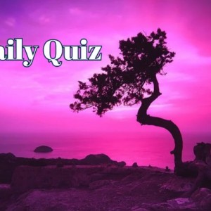 daily quiz