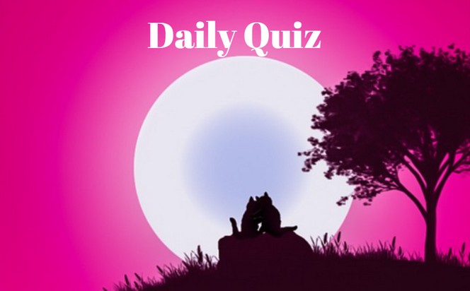 Daily Quiz - Answer these questions to add some excitement to your day