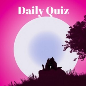 daily quiz