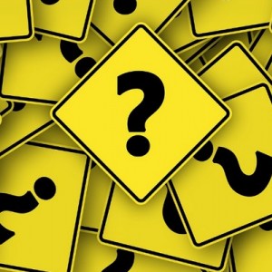 daily quiz
