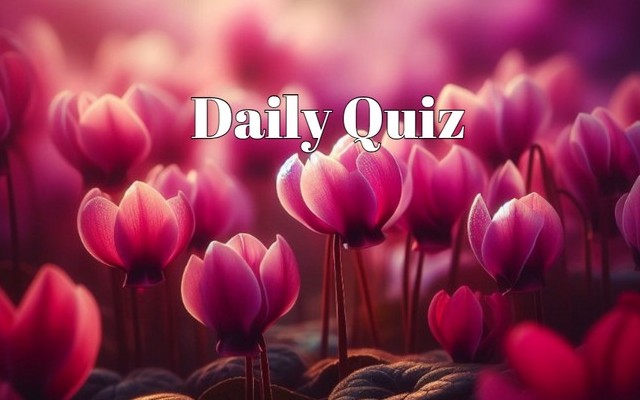 Daily Quiz - Enjoy a moment of relaxation and dive into our quiz