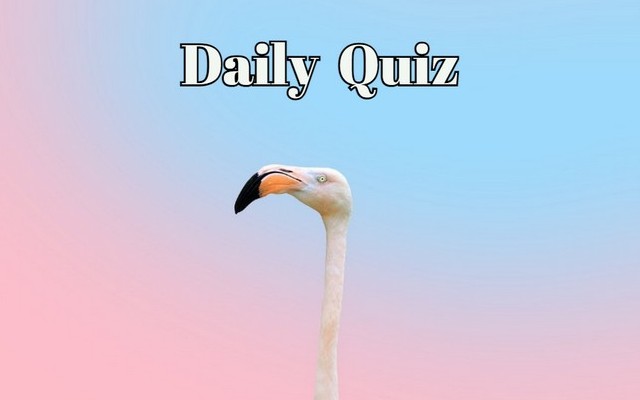 Daily quiz - Test your knowledge. If you get over 60% in this quiz, you're genius