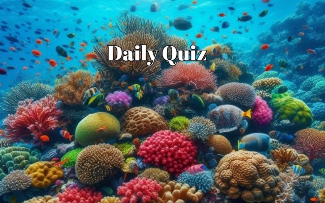 Mind-Bending Questions: Ready to Take the Quiz? - Daily Quiz