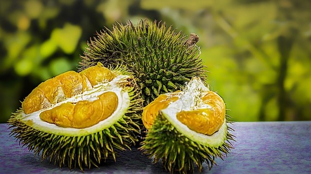 What is the world's smelliest fruit?