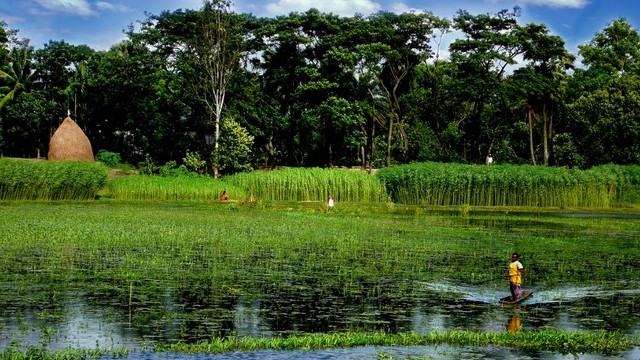 How many rivers flow through Bangladesh?