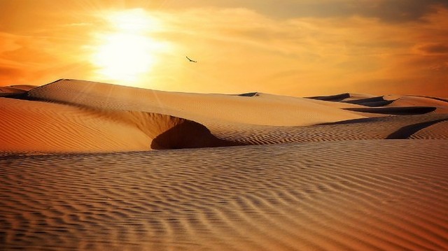 What is the largest hot desert in the world?