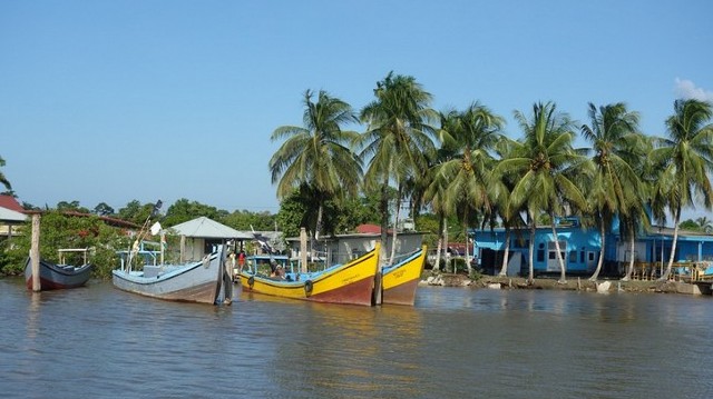 The largest city, capital and chief port is Paramaribo. Which country is this in South America?