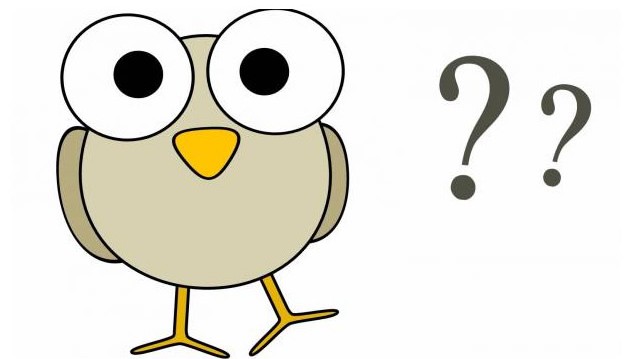 Which bird has a beard, wattle, and snood?