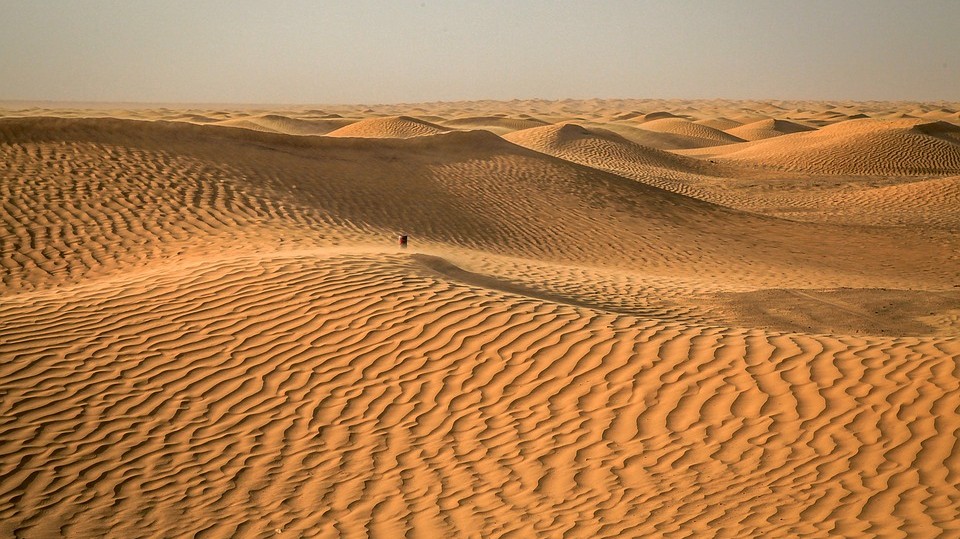 What is the world's largest desert?