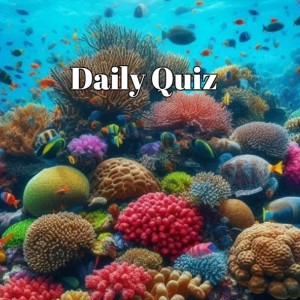 daily quiz