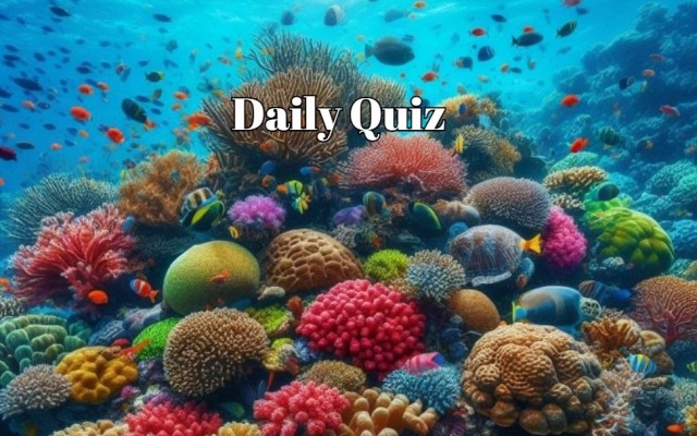 Daily Quiz - Are you smarter than the average person? Get 6 points or more!