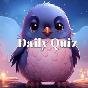 daily quiz