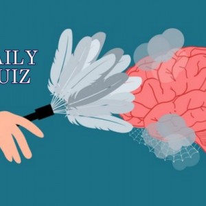 daily quiz